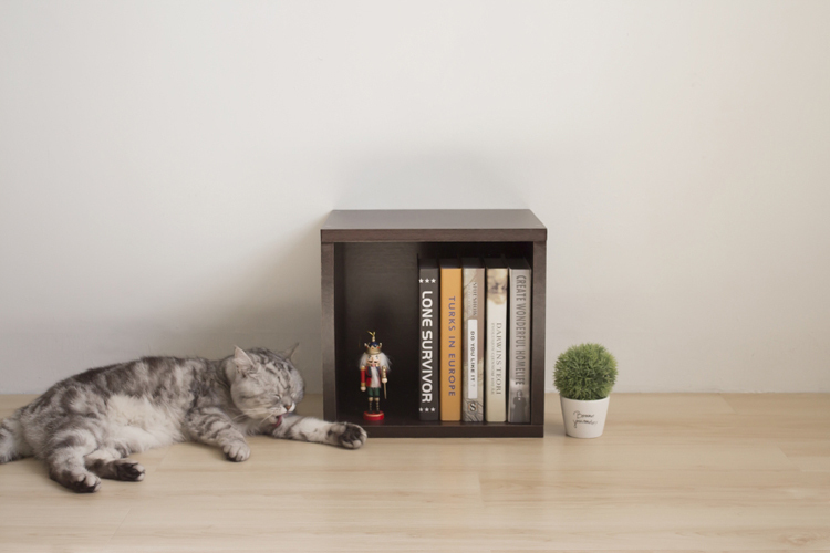 Angle Wave 巧拼單格櫃 (胡桃木色, 清新白)