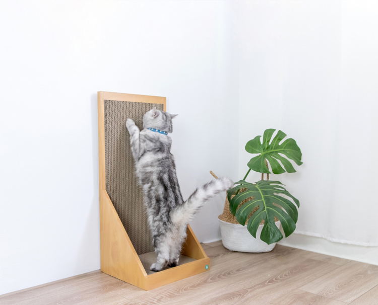 Angle Wave 壁咚貓抓板 (原木色, 清新白)