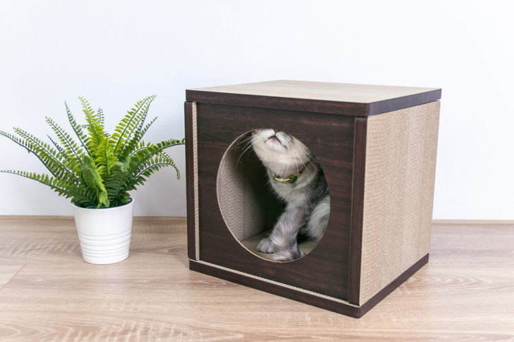 Angle Wave 好舒壓貓屋 (胡桃木色, 清新白)