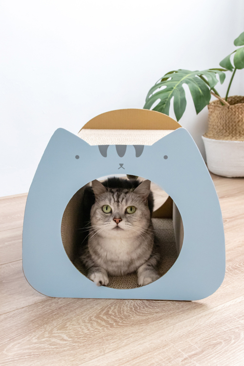 Angle Wave 呆萌貓隧道 (虎斑藍, 三花)