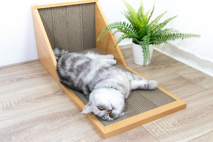 Angle Wave 壁咚貓抓板 (原木色, 清新白)