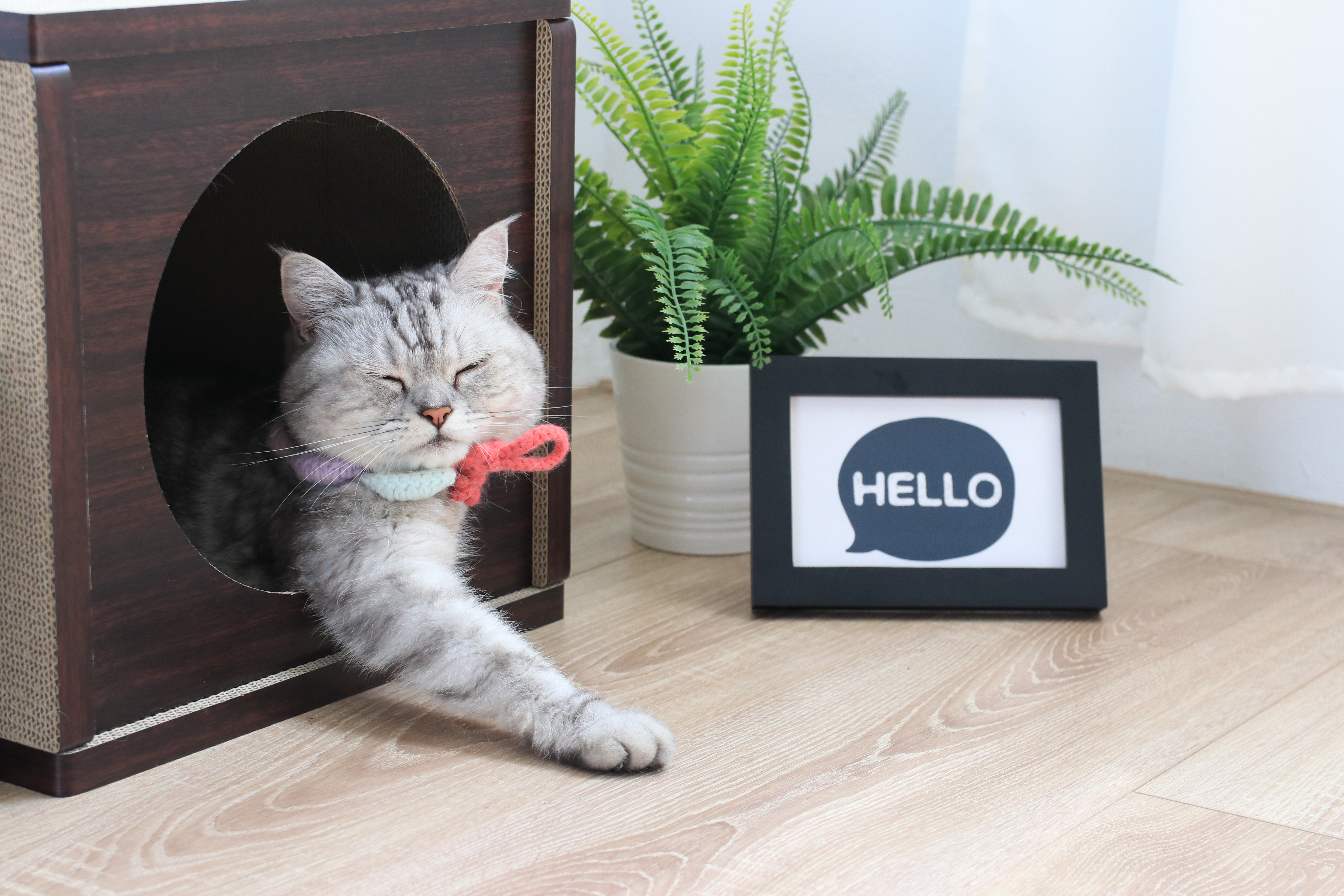 Angle Wave 好舒壓貓屋 (胡桃木色, 清新白)