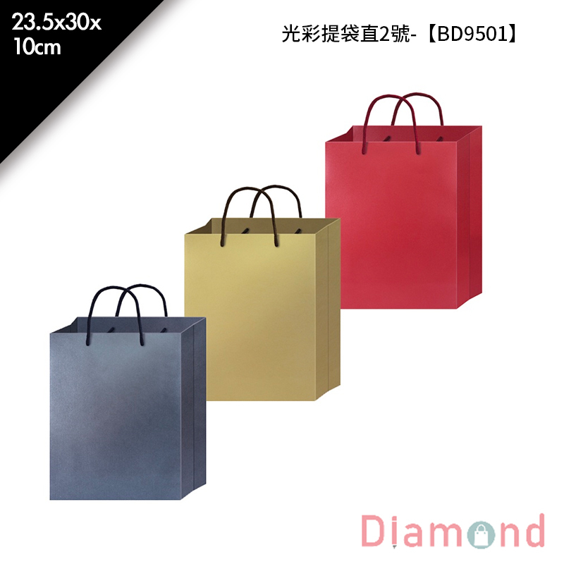 光彩提袋直2號- 1入 23.5*30*10cm【BD9501】
