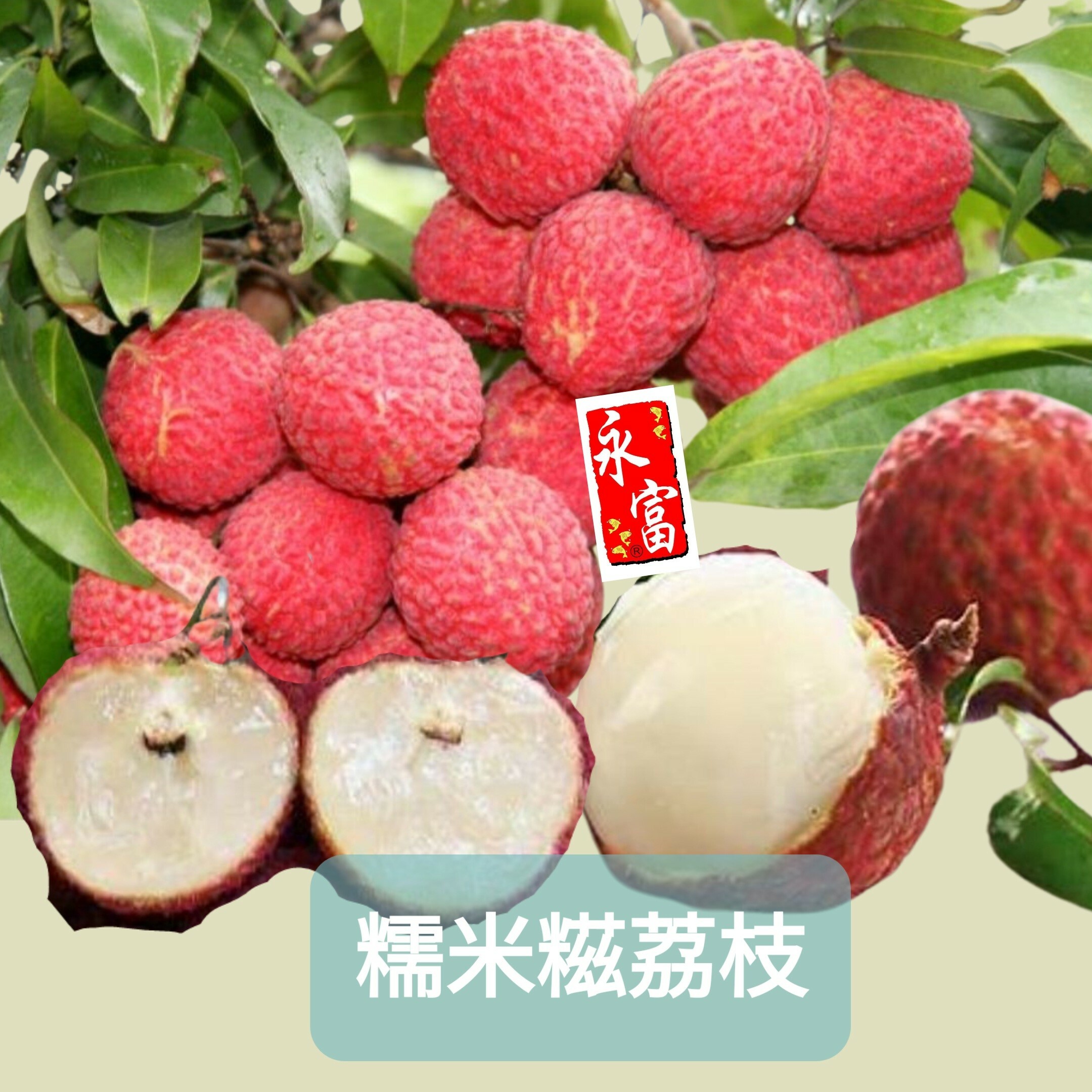 糯米糍荔枝(1磅)