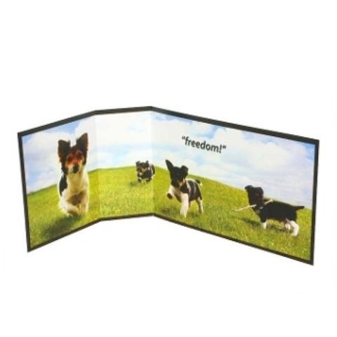 Piddle Place Splash Guard "Freedom" (公價貨品)