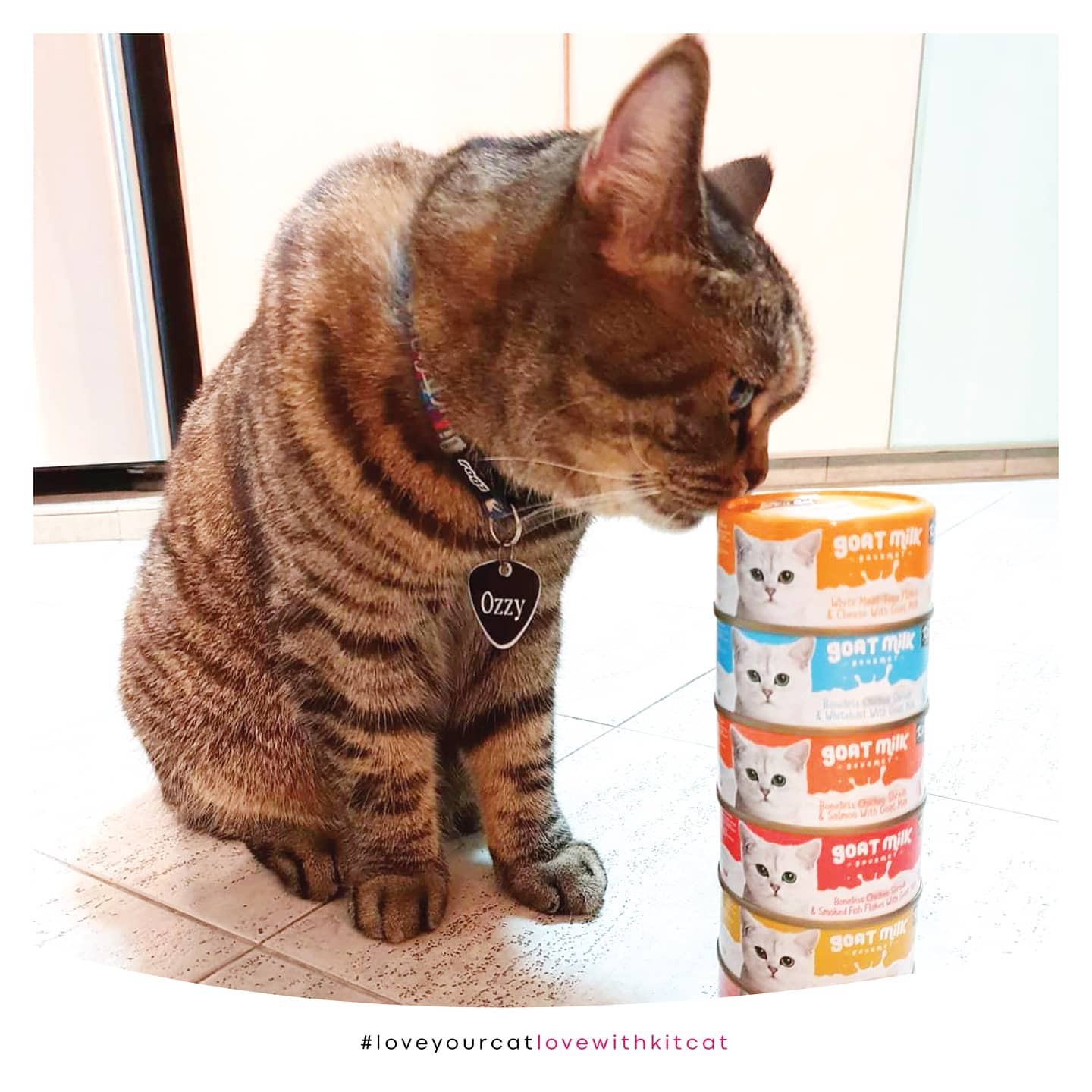 Kit Cat 山羊奶貓罐