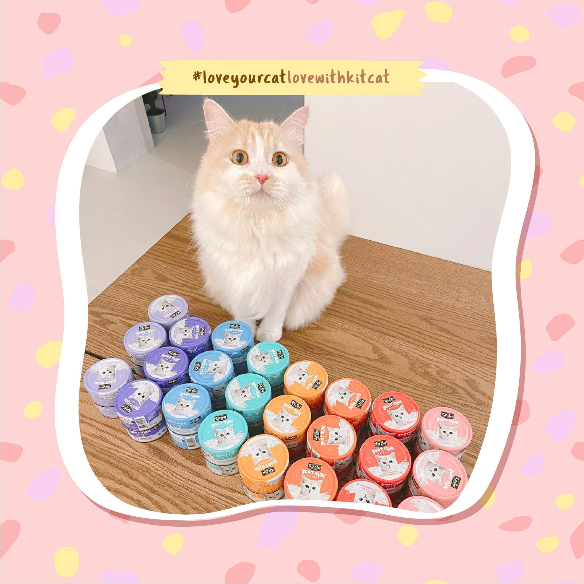 Kit Cat 山羊奶貓罐