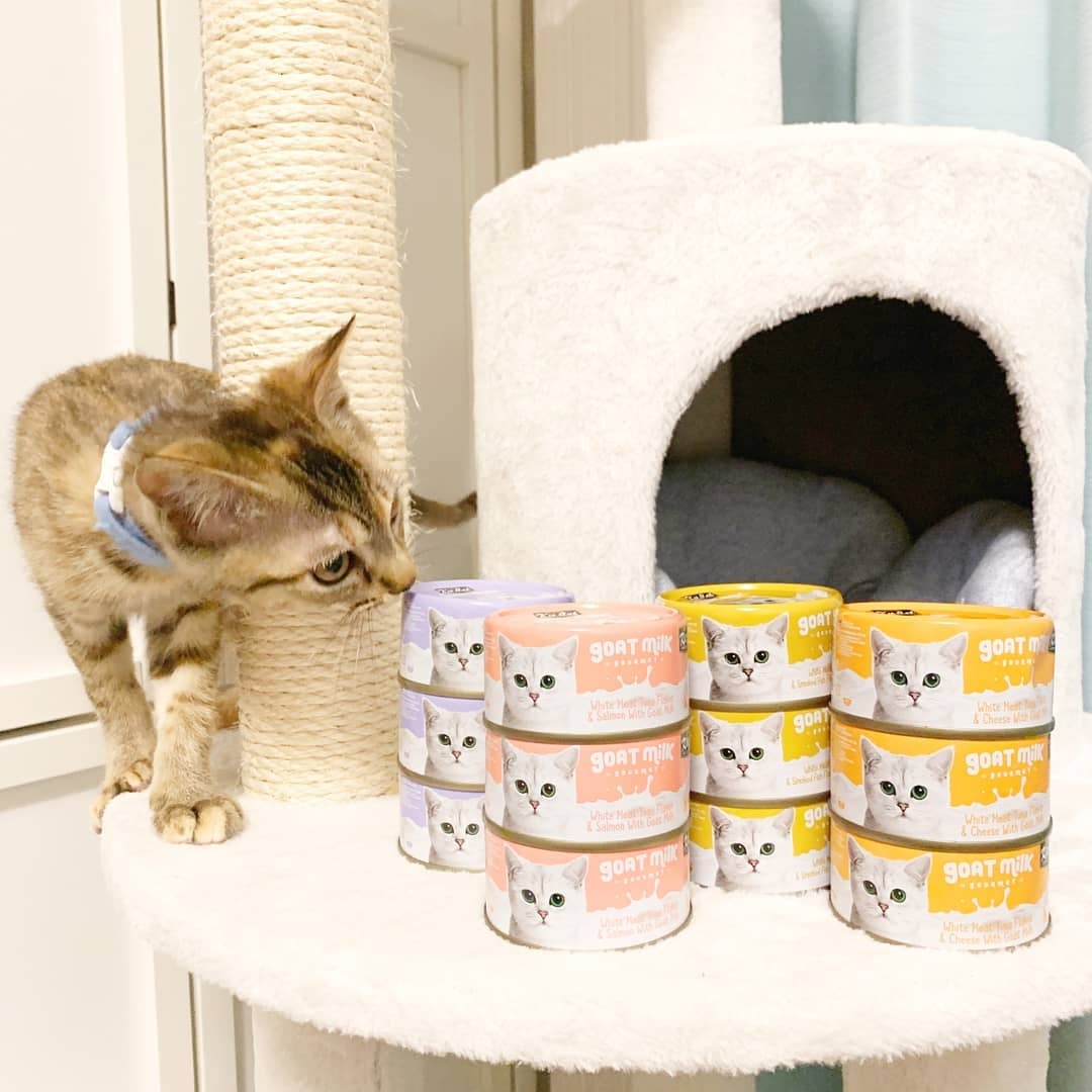 Kit Cat 山羊奶貓罐