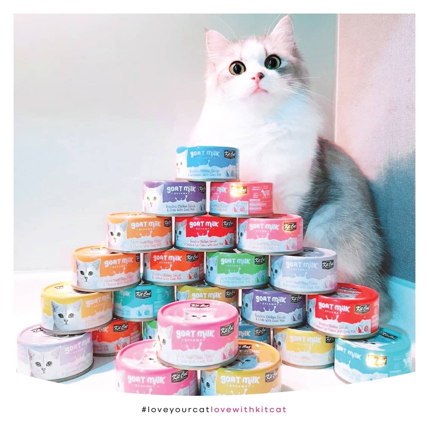 Kit Cat 山羊奶貓罐