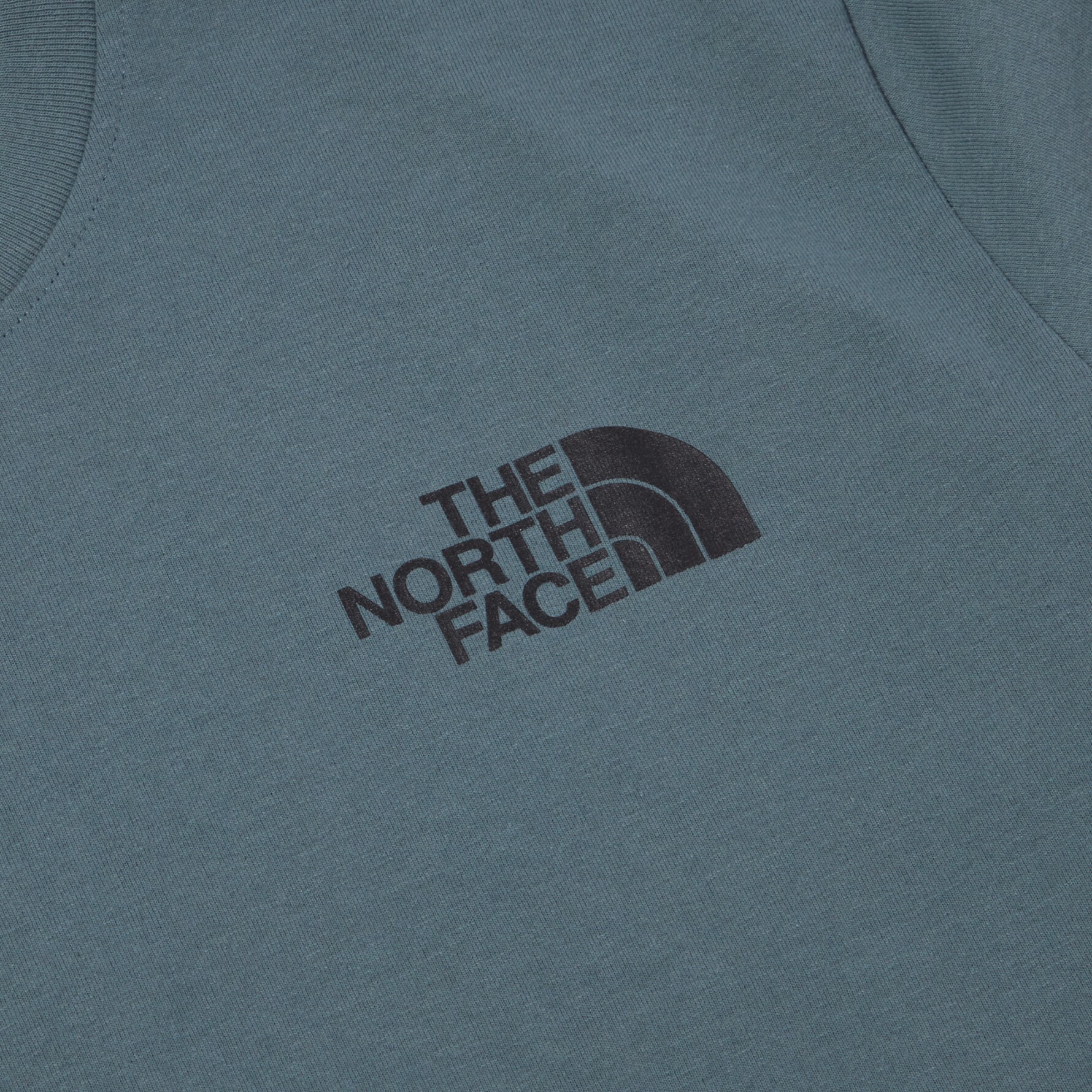 THE NORTH FACE EARTH DAY TEE 地球日短袖短T 灰綠NT7UN12C