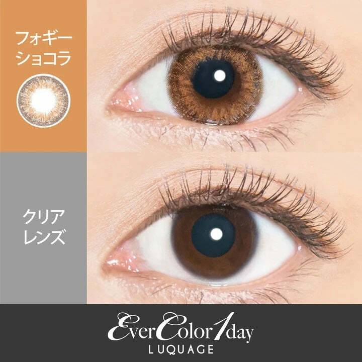EverColor LUQUAGE Foggy Chocolat 1 Day UV Contact Lenses