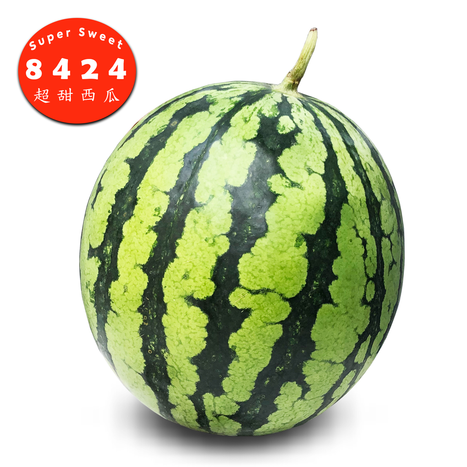 西瓜 8424 麒麟瓜 [1個]