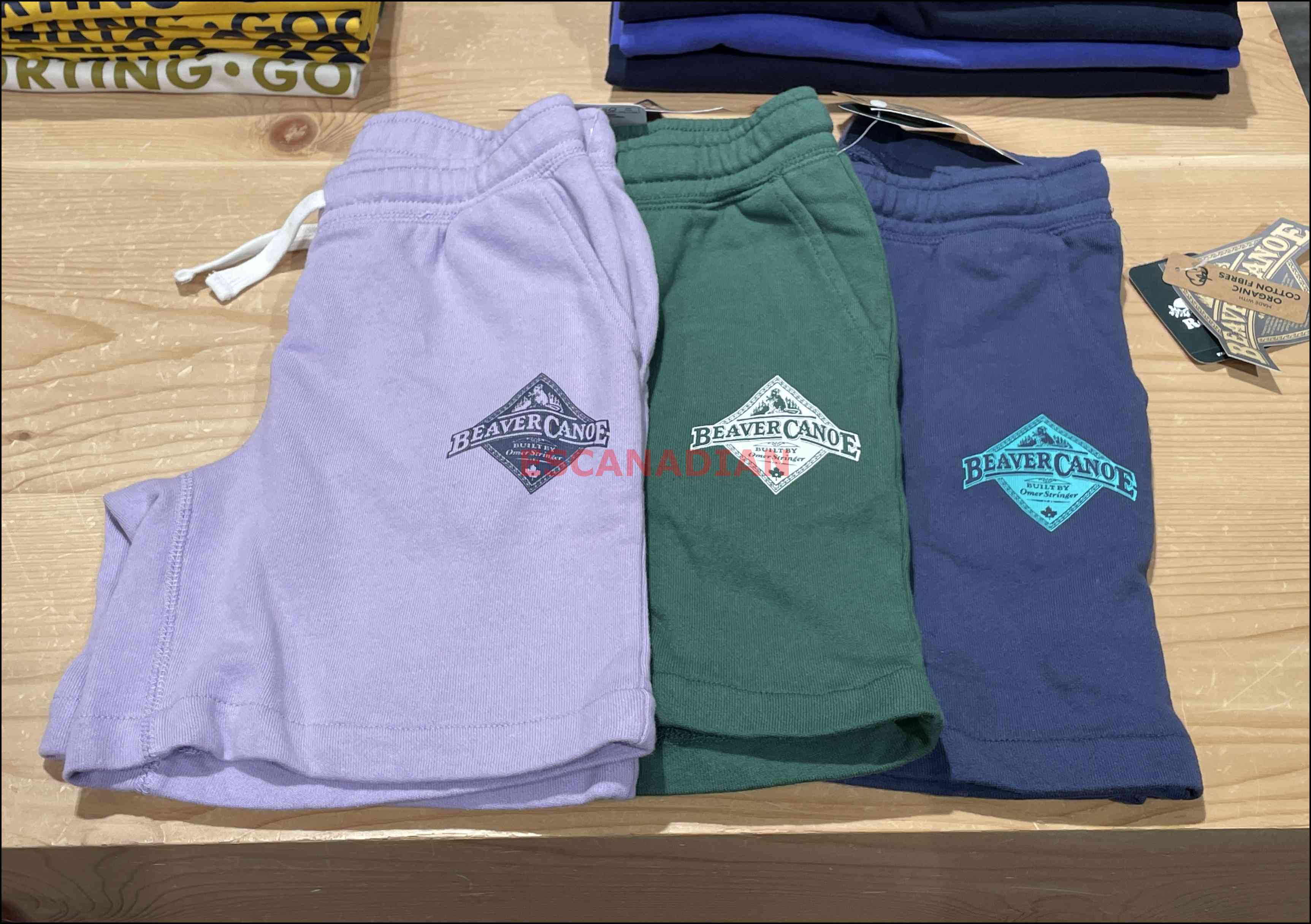 ROOTS 大童 海狸獨木舟 棉短褲 (3色)