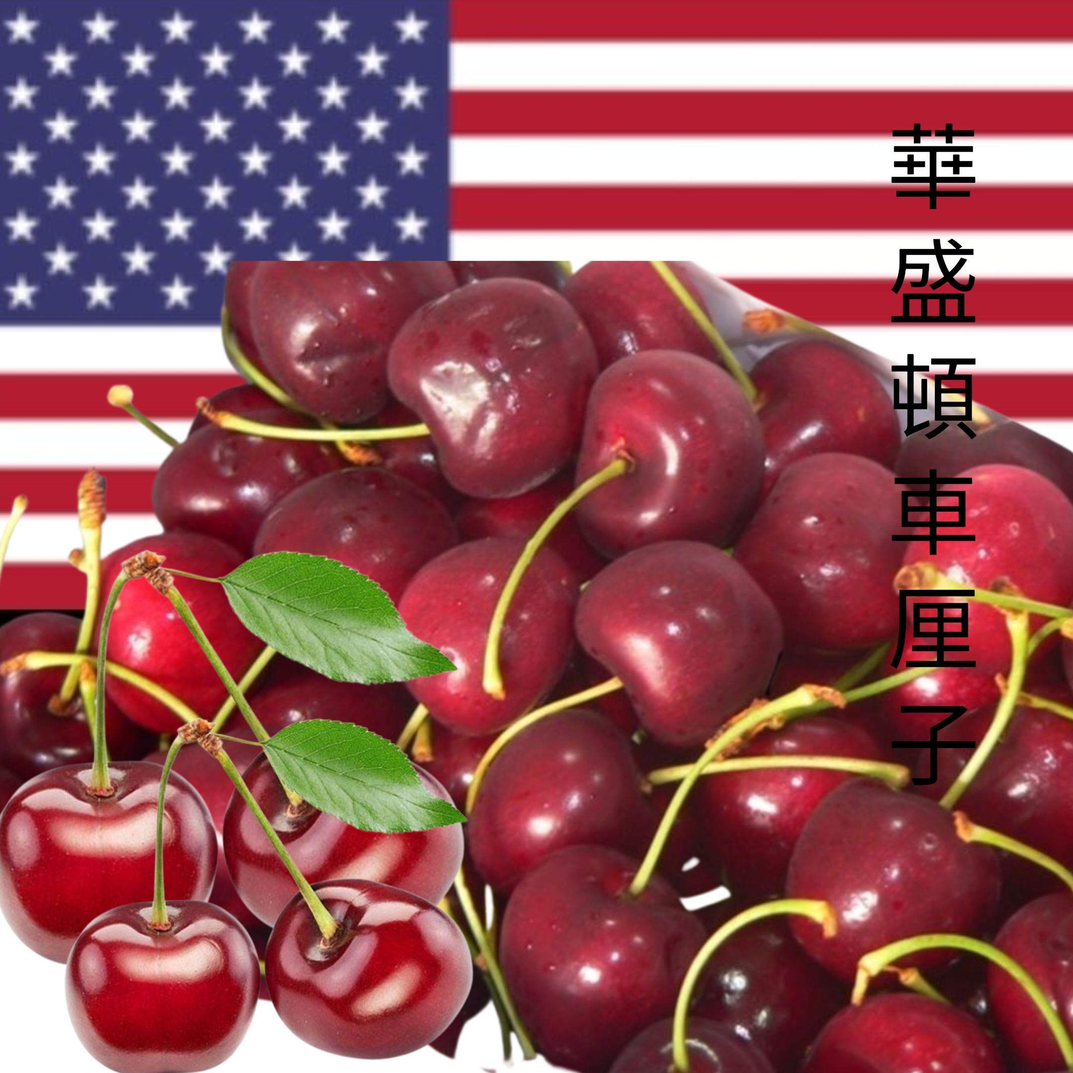 華盛頓車厘子(1磅)