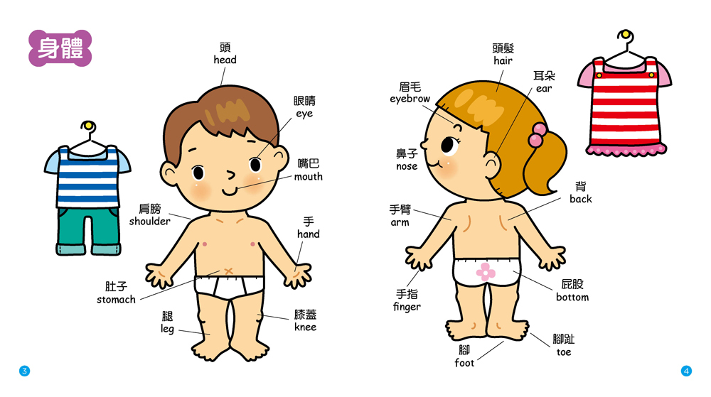 //福利品// 認知圖鑑：家庭生活