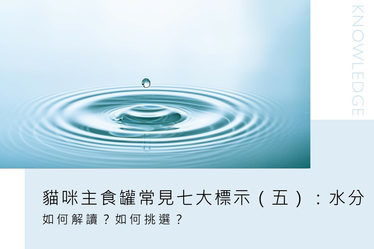 貓爾學院,寵物營養,日常護理,知識教室,貓爾地夫,水分