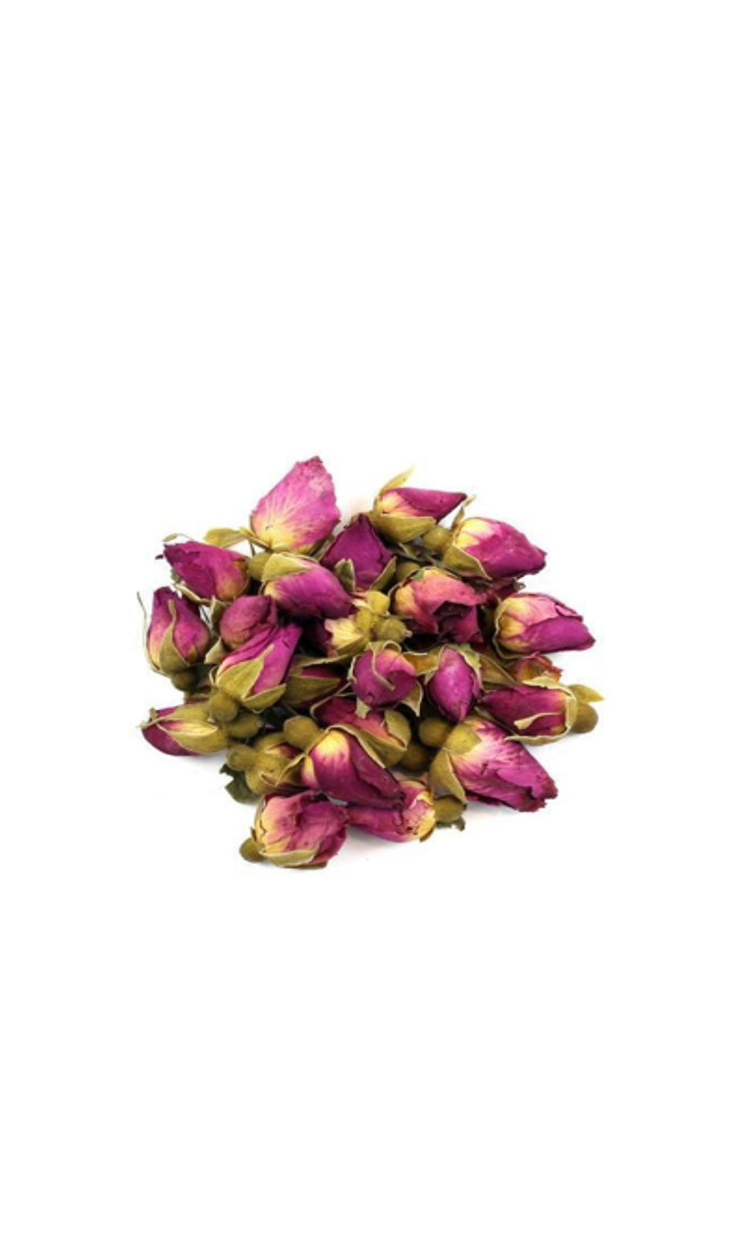 Best Buds Roses Rose Buds