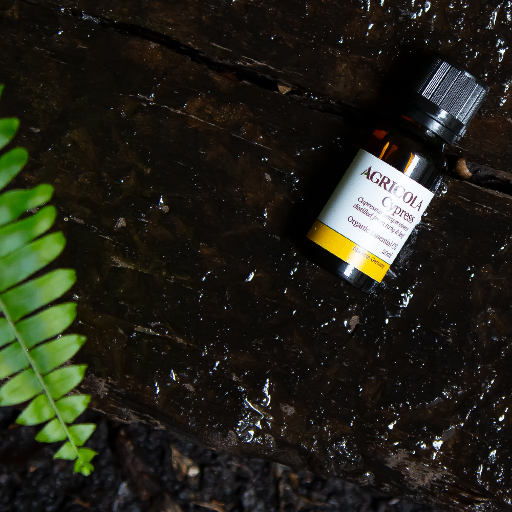 有機絲柏精油–20ml