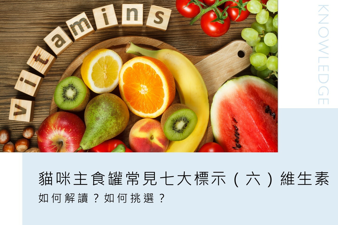 貓爾學院,寵物營養,日常護理,知識教室,貓爾地夫,維生素