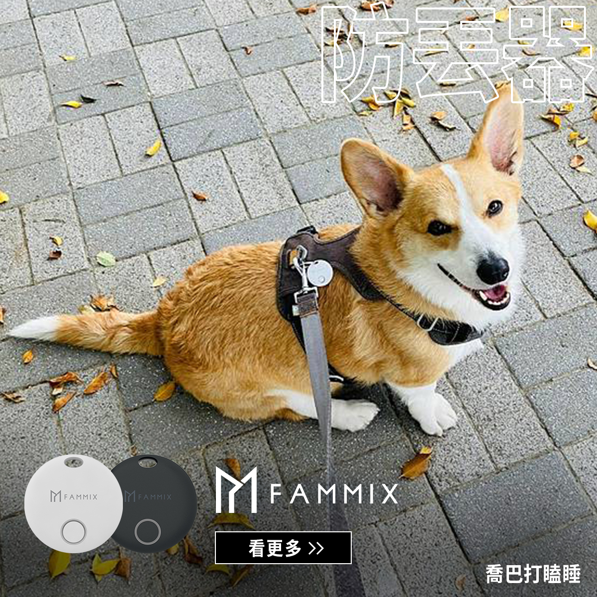 FAMMIX, 菲米斯,藍牙追蹤器,定位器,防丟器,智慧追蹤,AirTag