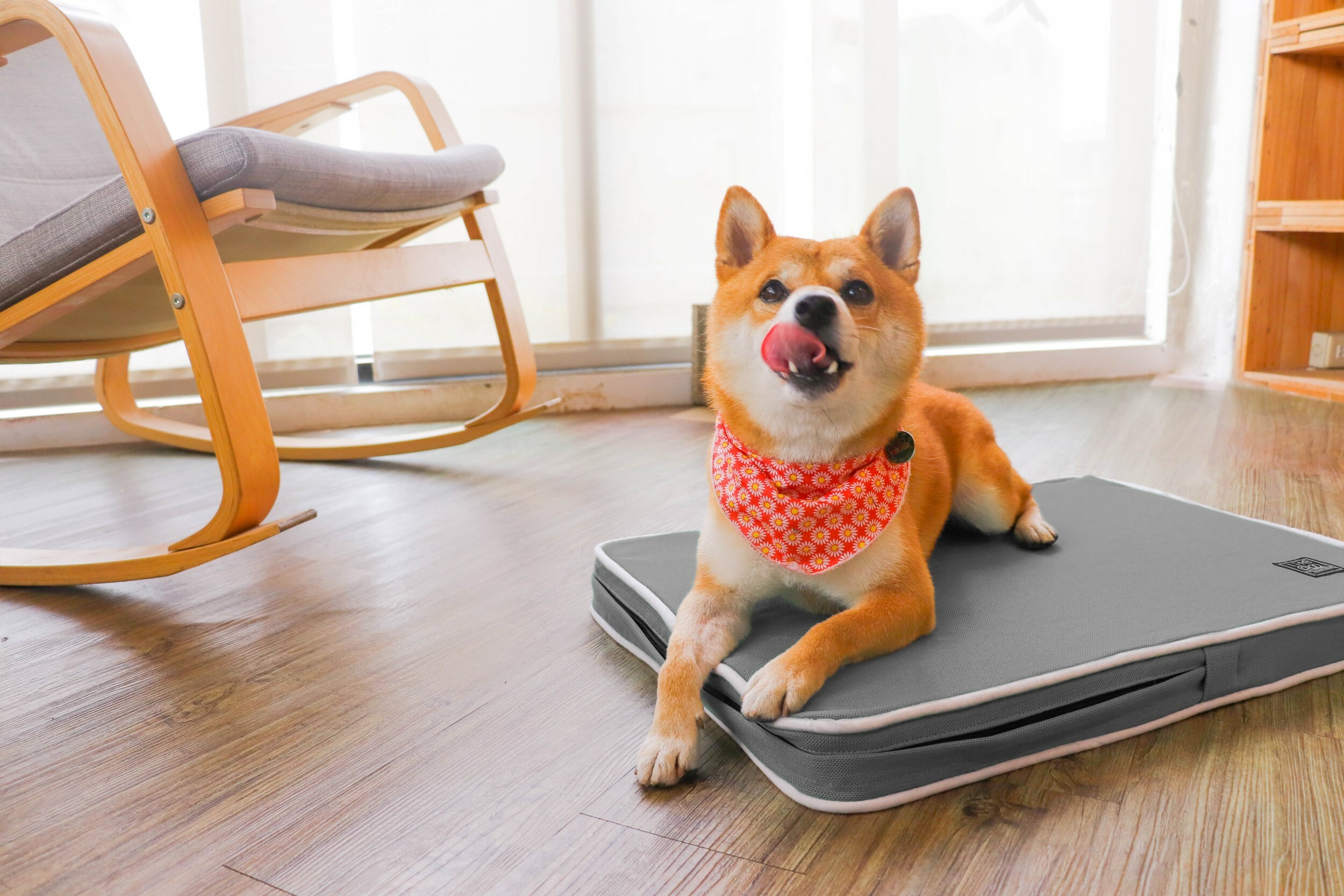 LIFEAPP 經典寵物緩壓睡墊 - S (透氣款 / 透芯涼款)