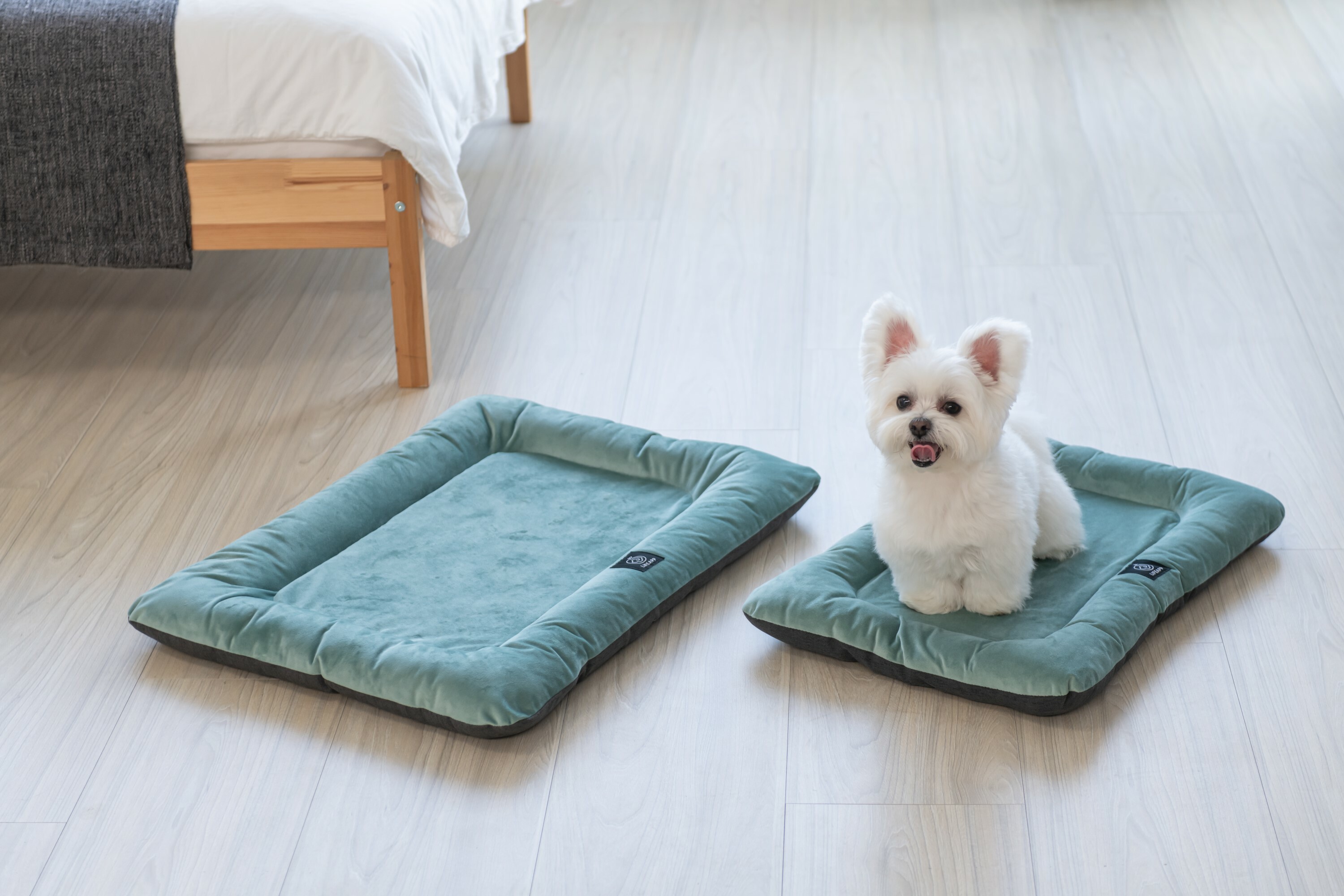 LIFEAPP 寵物緩壓睡墊 - 迷你堡