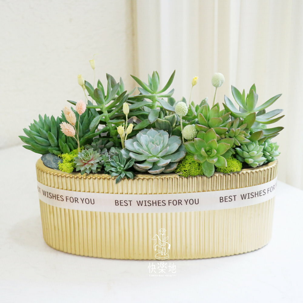 綠金寶藏  GP221320