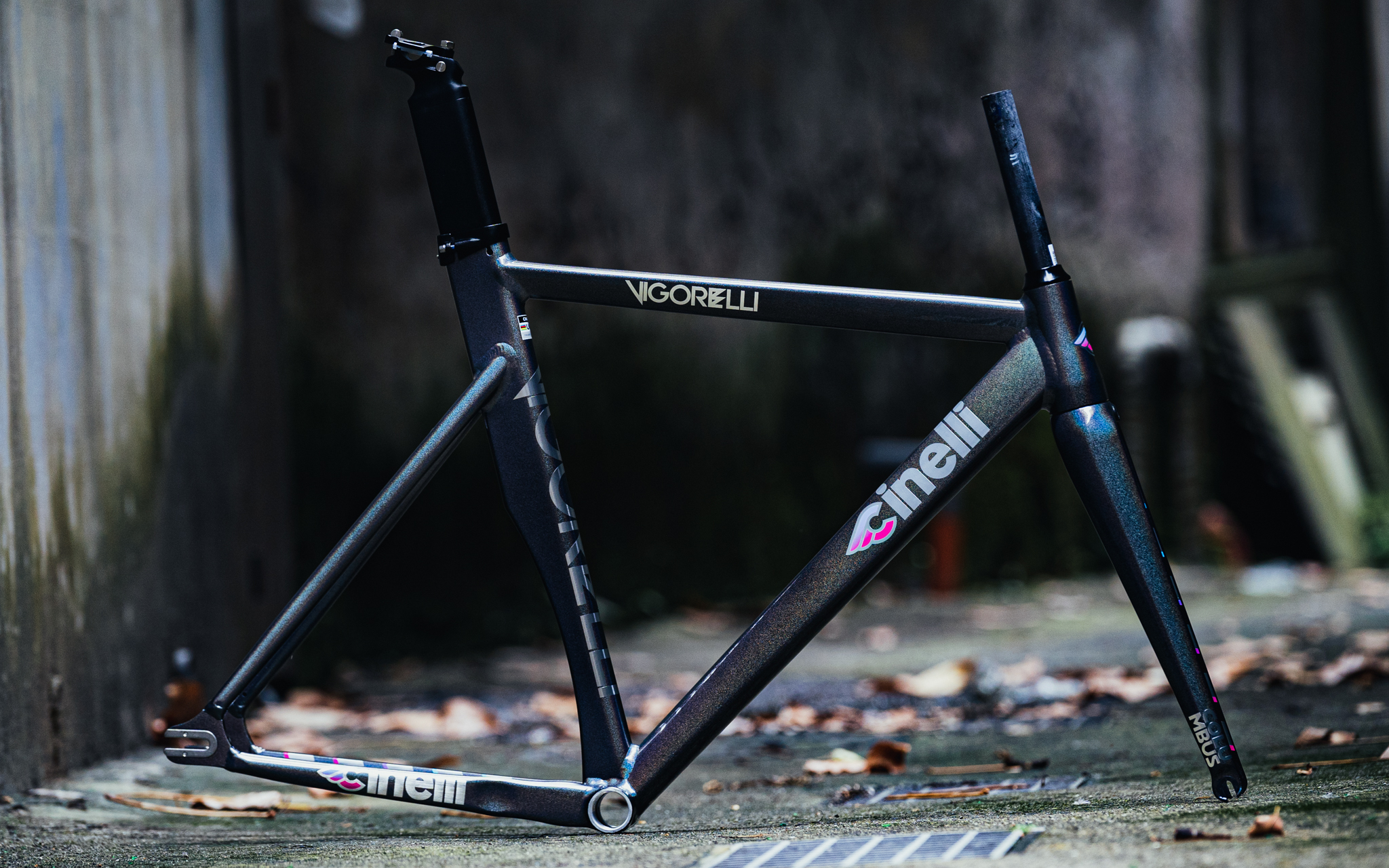 CINELLI VIGORELLI 完成車