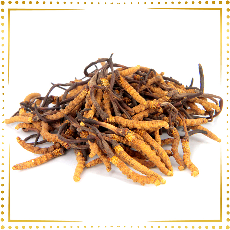 西藏那曲冬蟲夏草 (約190-220條) (1両裝)