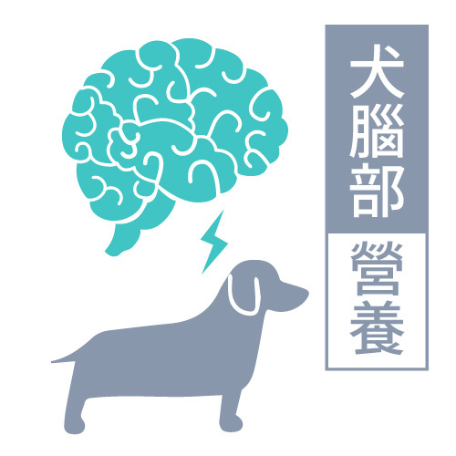 犬腦部營養