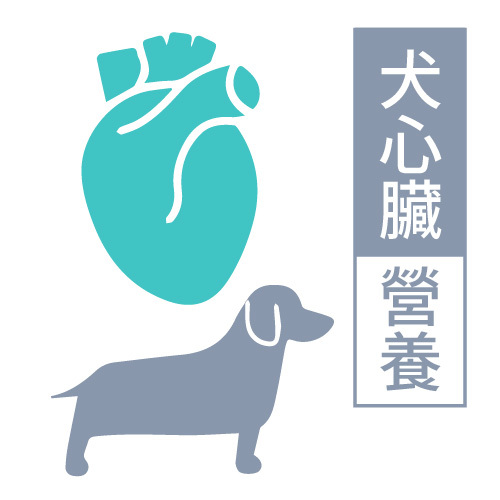 犬心臟營養