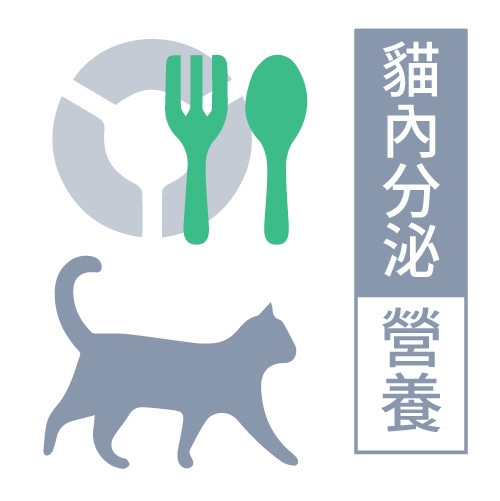 貓內分泌營養