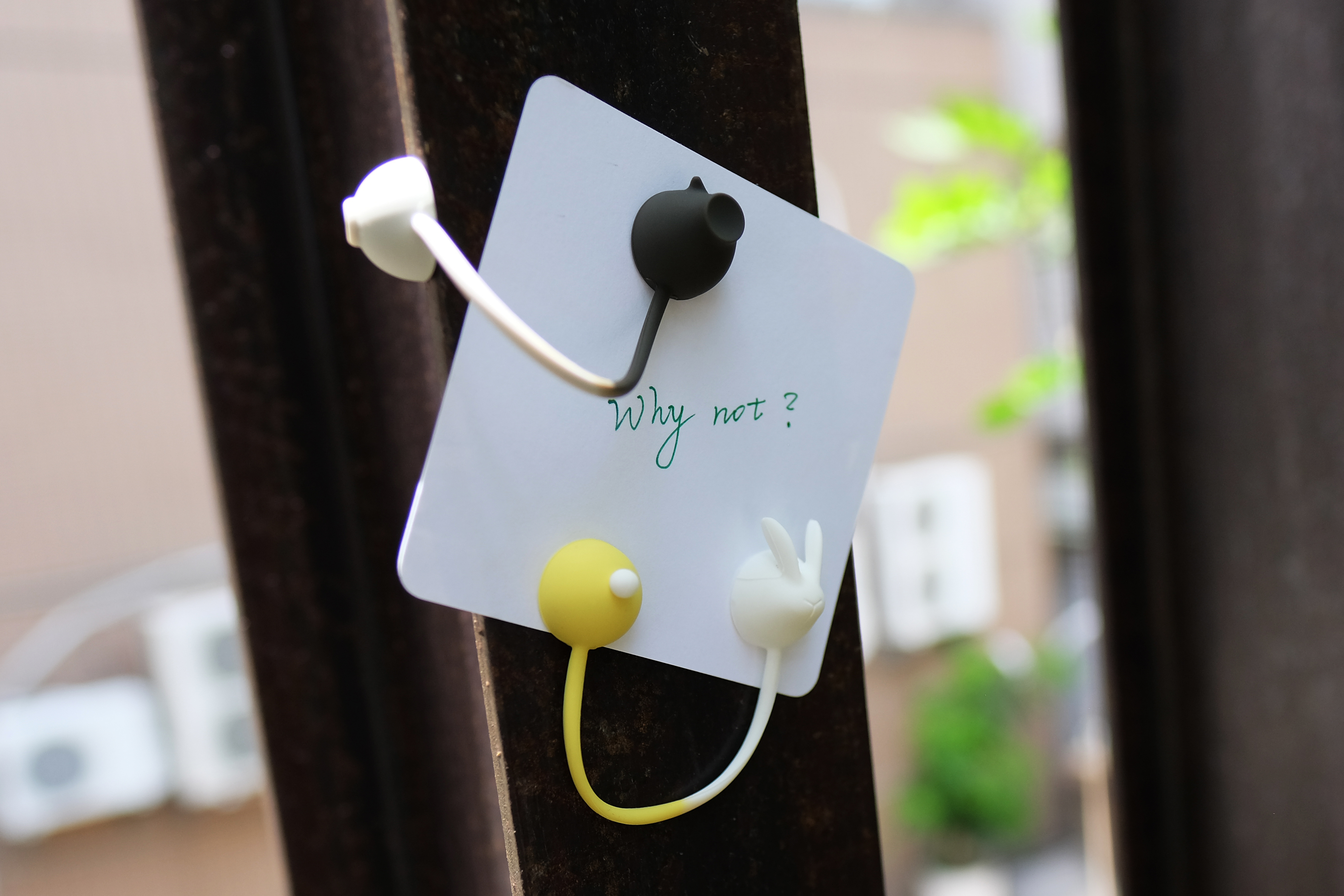 動物收線球多種用途