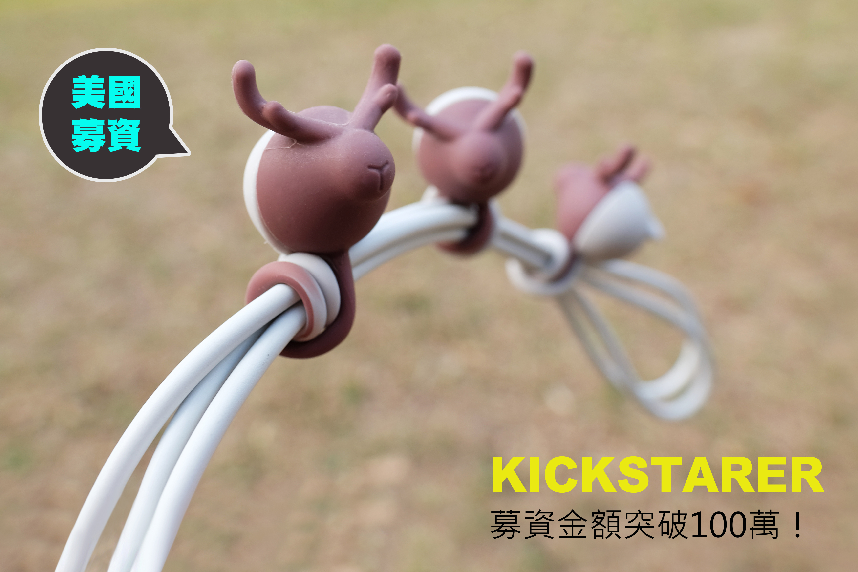 動物收線球美國募資破百萬