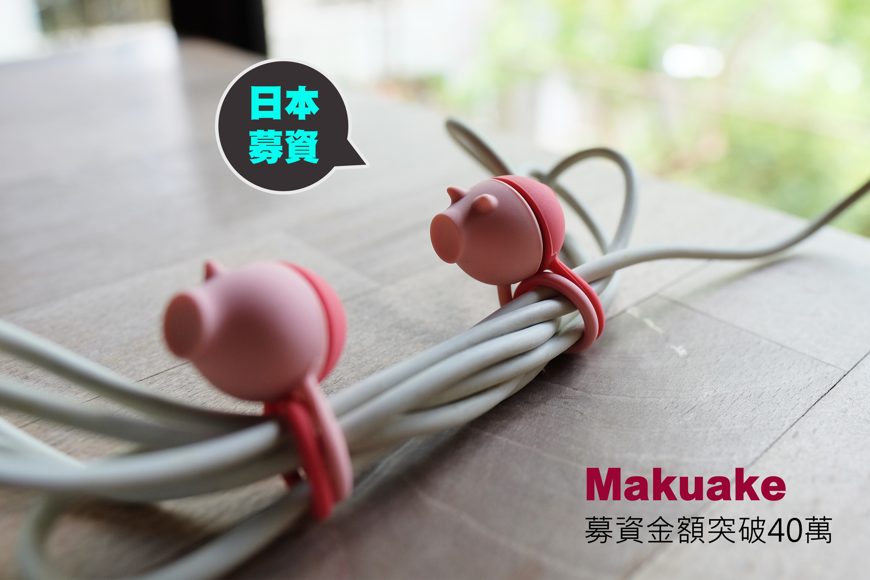 動物收線球日本募資破40萬