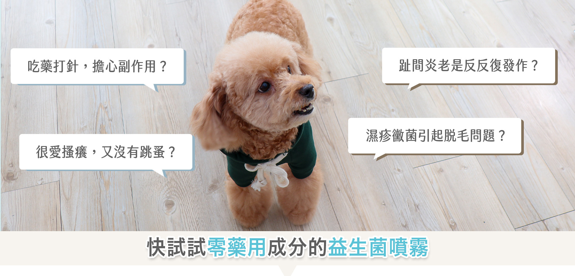 為什麼用毛樂主意益生菌噴霧