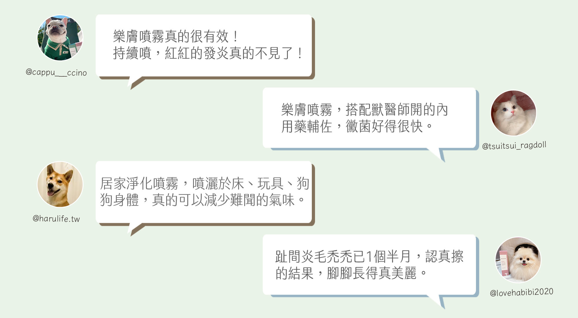 毛樂主意益生菌噴霧口碑