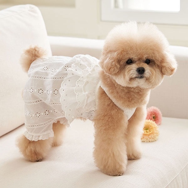 寬鬆吊帶-簍空蕾絲-白-It’s sunny outside