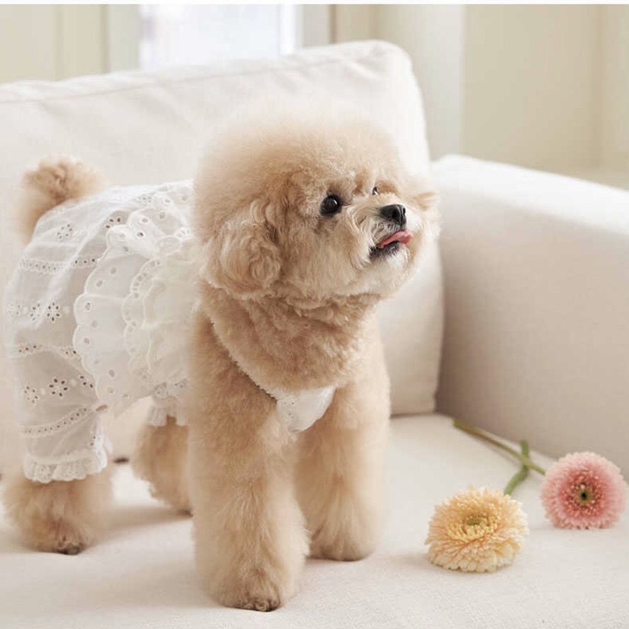 寬鬆吊帶-簍空蕾絲-白-It’s sunny outside