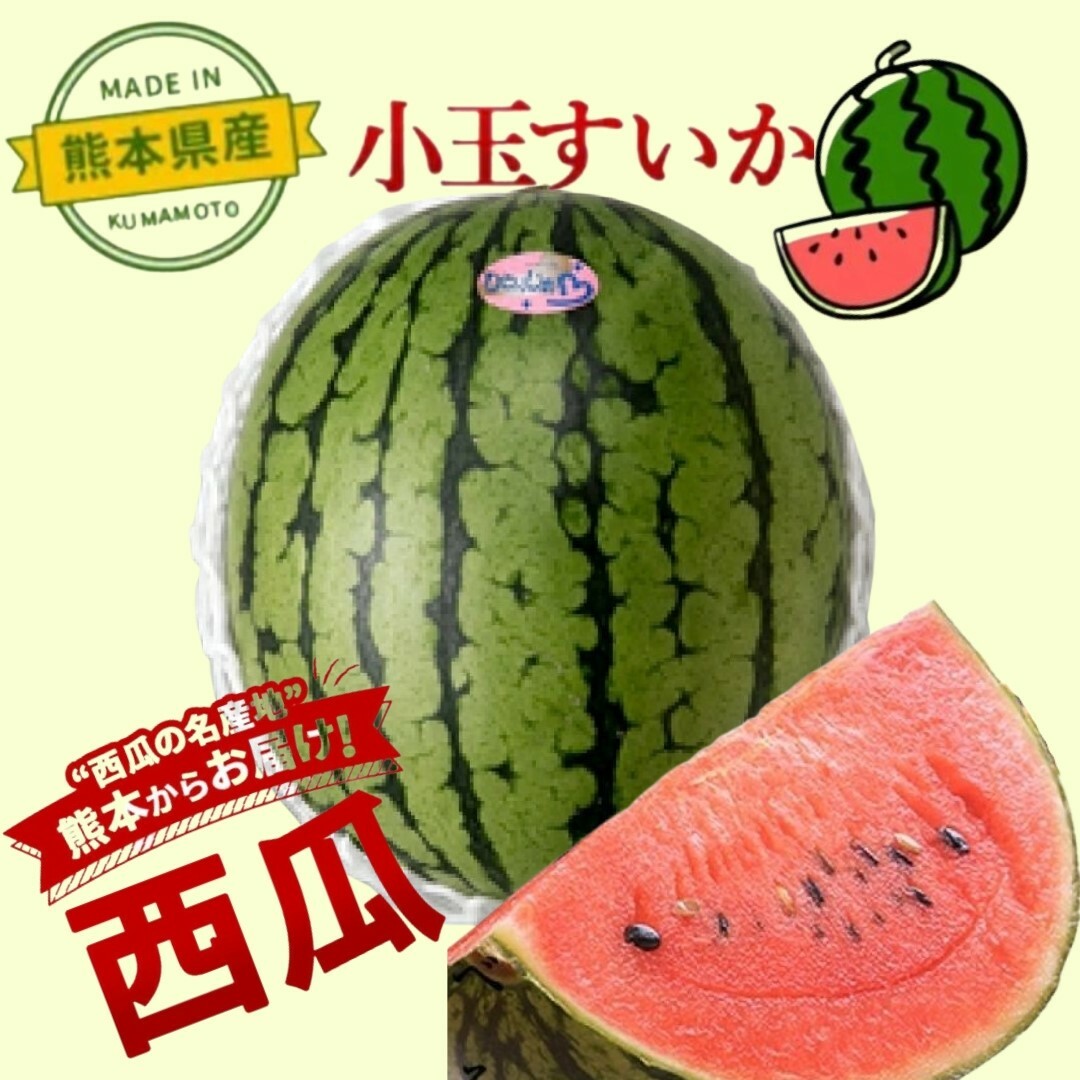 日本熊本縣小肉西瓜(1.2-1.5k)