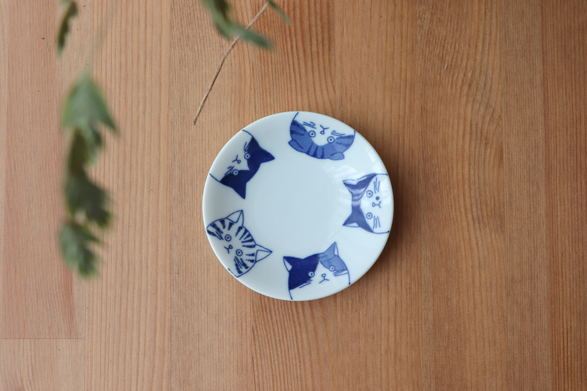 SHICHITA 貓小碟 3寸皿