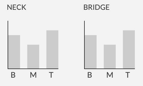 Seymour Duncan Slash APH-2 電吉他 雙線圈 拾音器