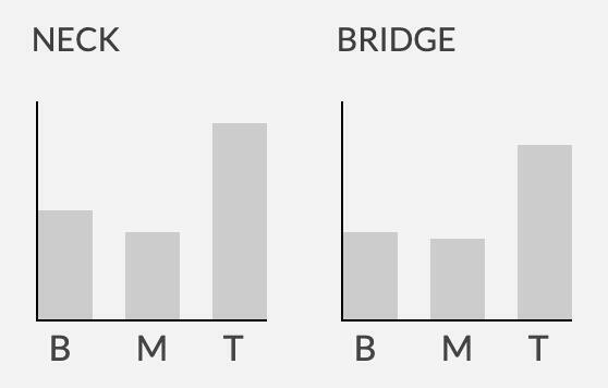 Mark Holcomb 簽名款 Seymour Duncan ALPHA & OMEGA 拾音器組