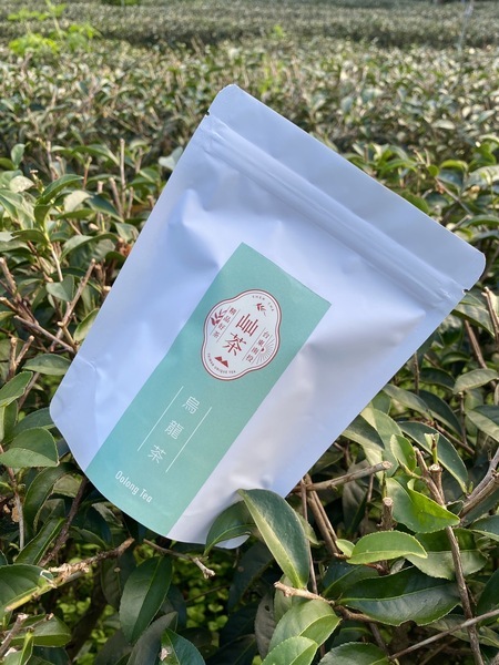 【屾茶商行】烏龍茶立體茶包 2.5gx20入