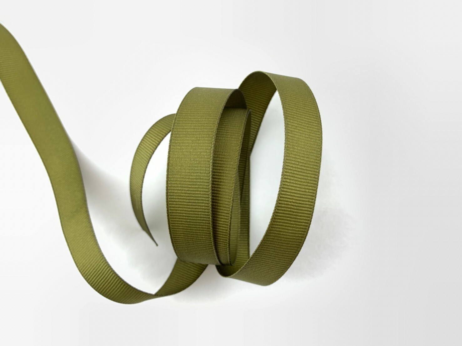 【大碼數】經典羅紋帶/10mm_大碼數40M