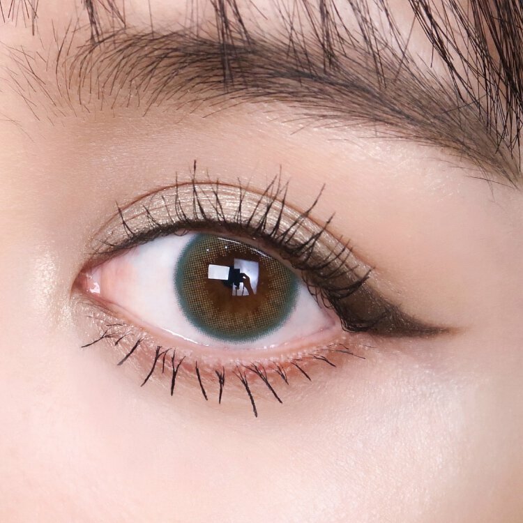 帝康臻魅彩色日拋凱莉綠(10片）