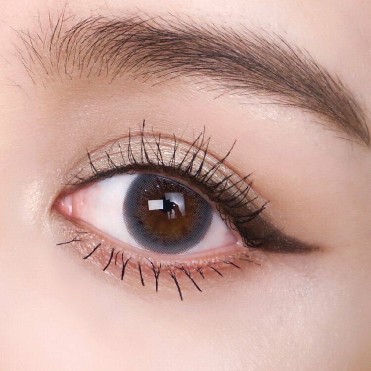 帝康臻魅彩色日拋奧麗灰(10片）