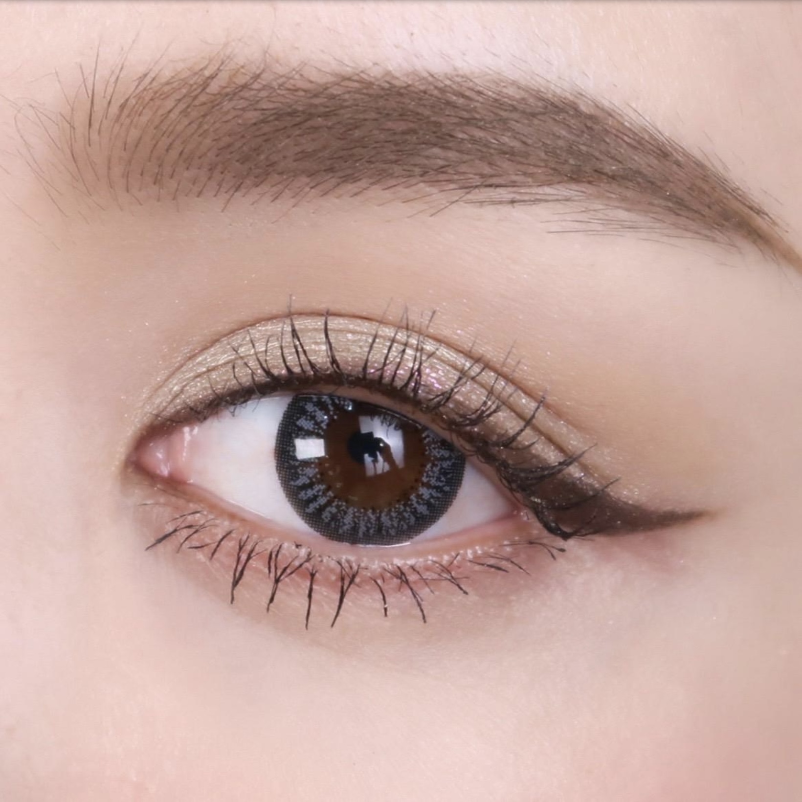 帝康臻魅彩色日拋臻魅灰(10片）