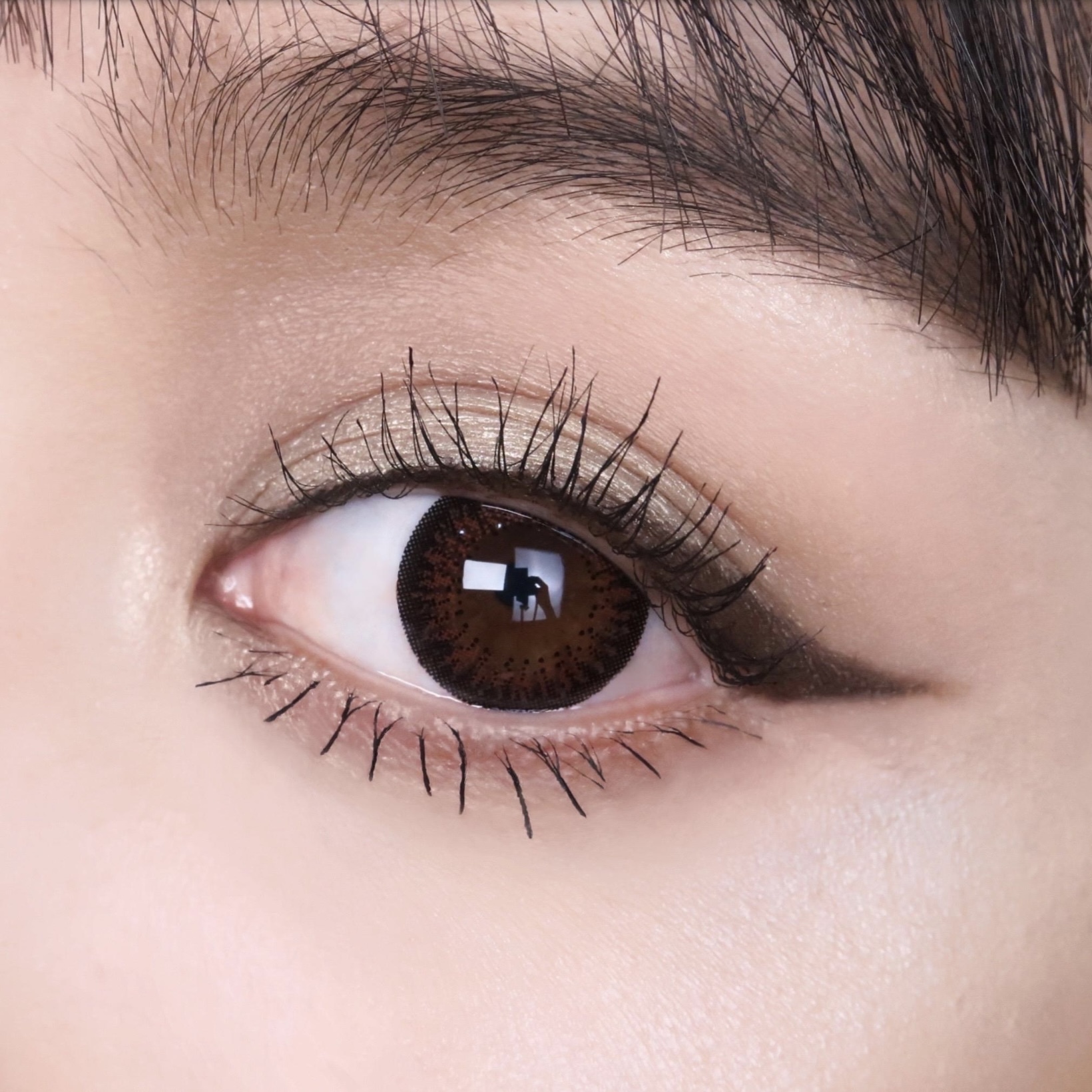 帝康臻魅彩色日拋臻魅棕(10片）