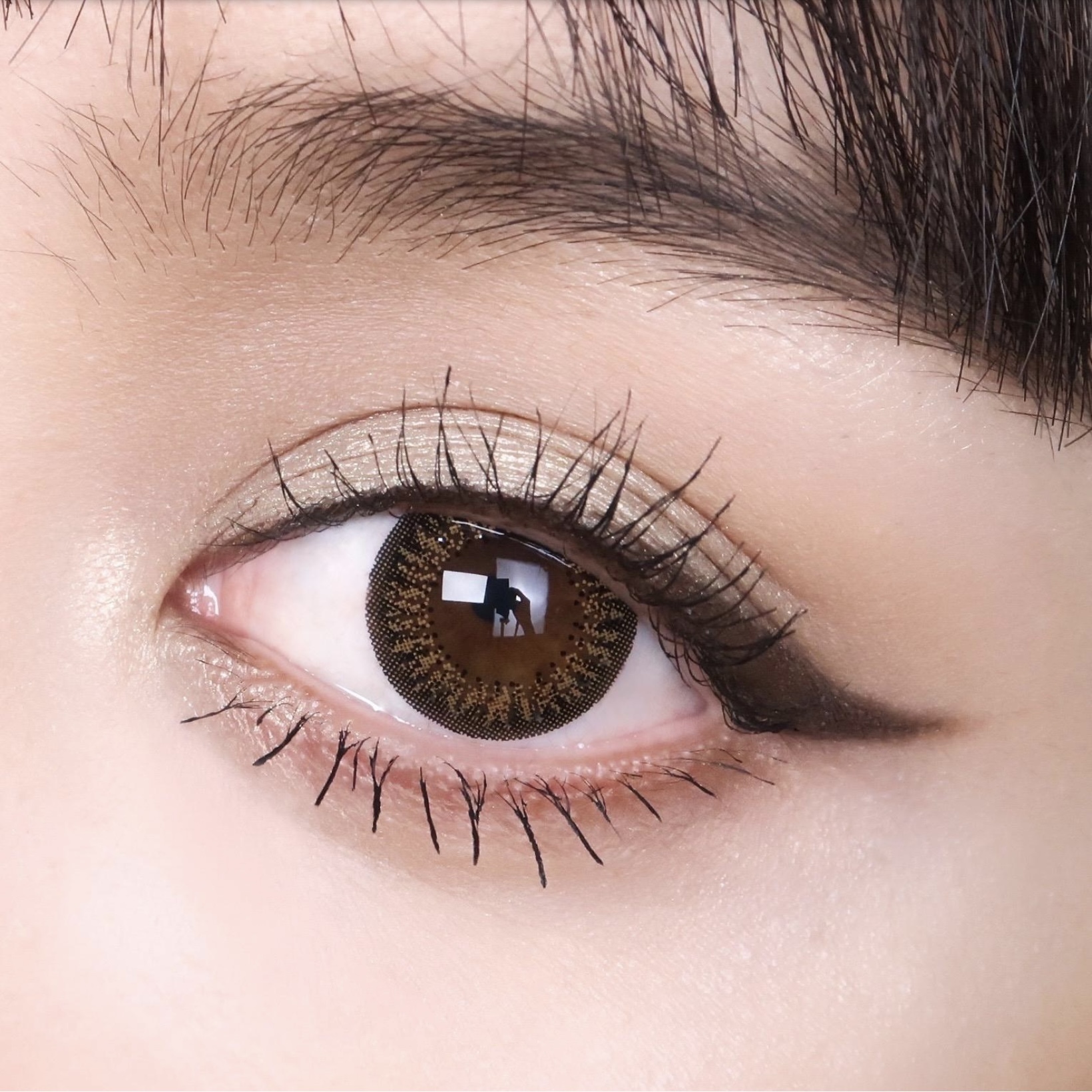 帝康臻魅彩色日拋臻魅褐(10片）